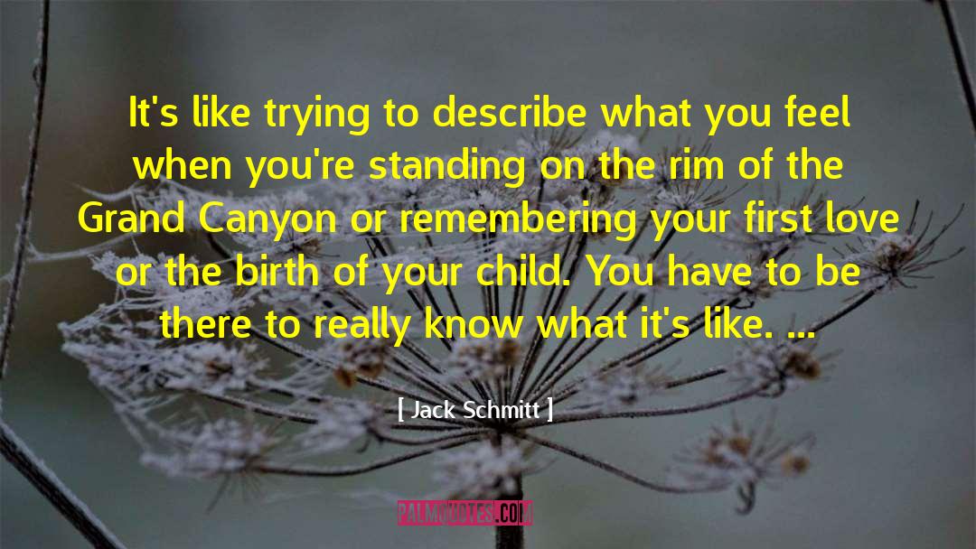 Jack Schmitt Quotes: It's like trying to describe