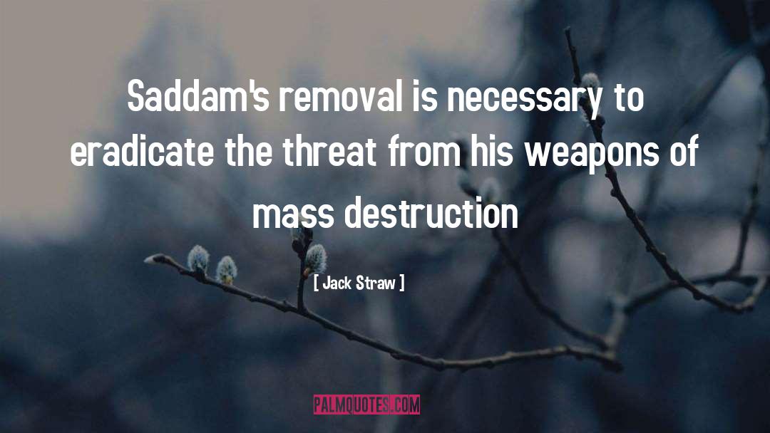 Jack Straw Quotes: Saddam's removal is necessary to