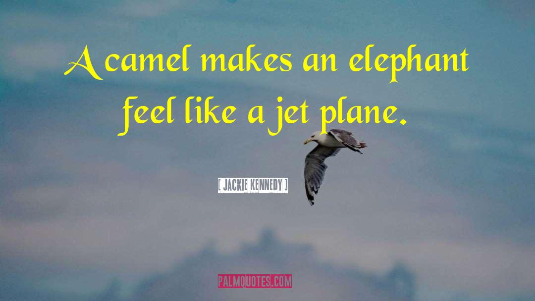 Jackie Kennedy Quotes: A camel makes an elephant