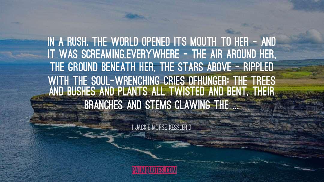 Jackie Morse Kessler Quotes: In a rush, the world