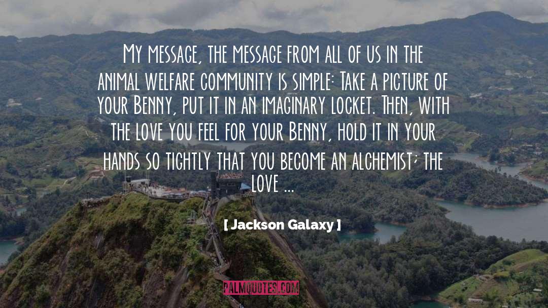 Jackson Galaxy Quotes: My message, the message from