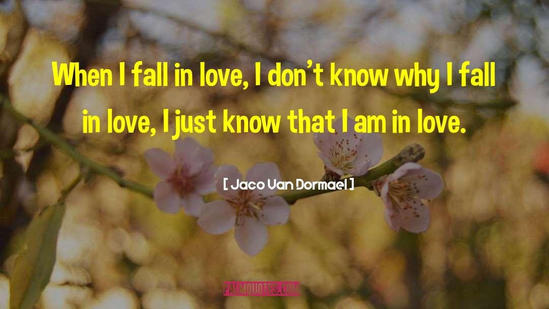 Jaco Van Dormael Quotes: When I fall in love,