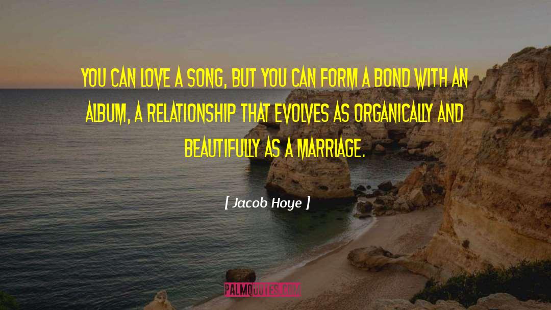 Jacob Hoye Quotes: You can love a song,