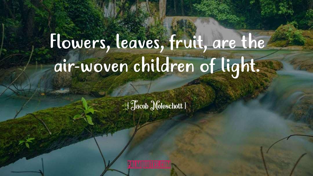 Jacob Moleschott Quotes: Flowers, leaves, fruit, are the