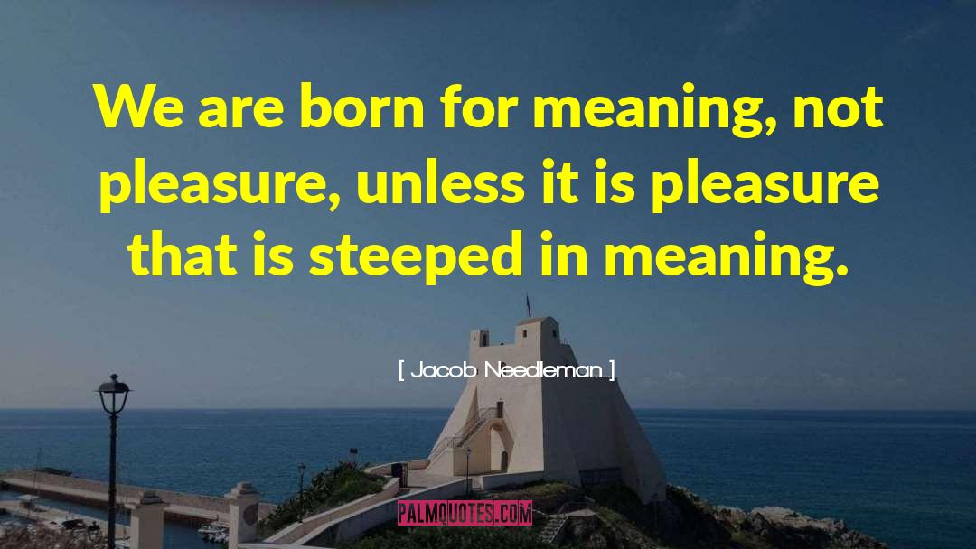 Jacob Needleman Quotes: We are born for meaning,