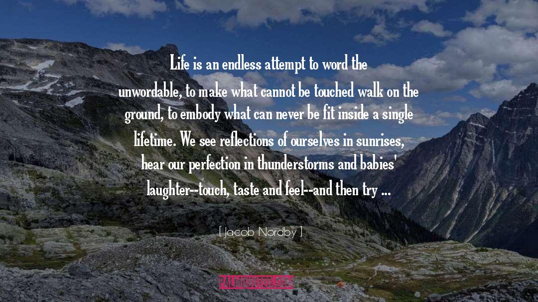 Jacob Nordby Quotes: Life is an endless attempt