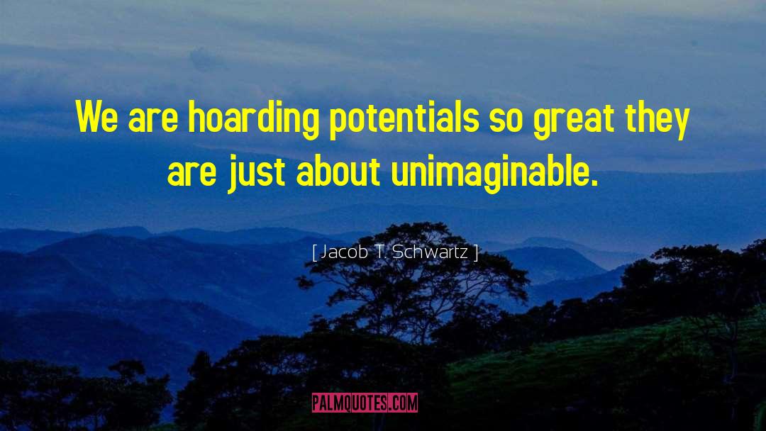 Jacob T. Schwartz Quotes: We are hoarding potentials so