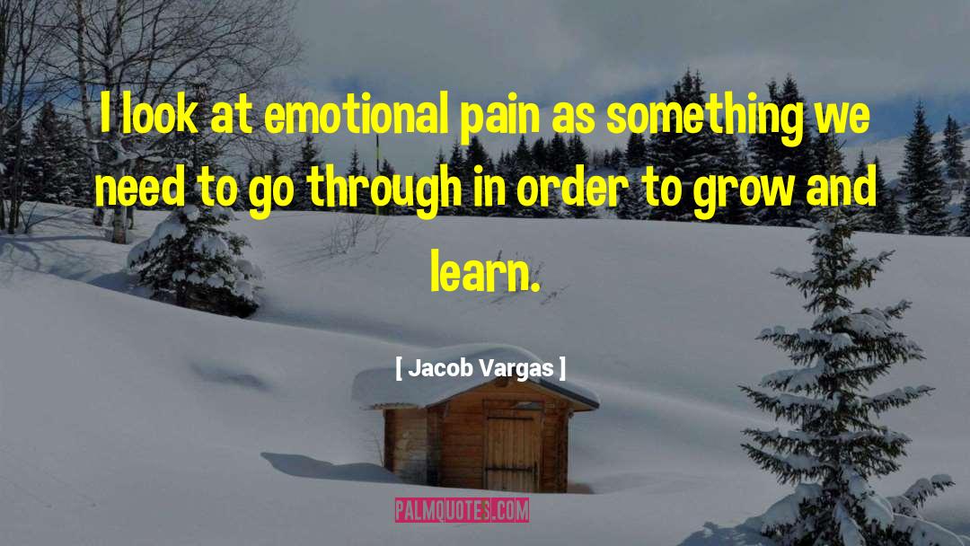 Jacob Vargas Quotes: I look at emotional pain