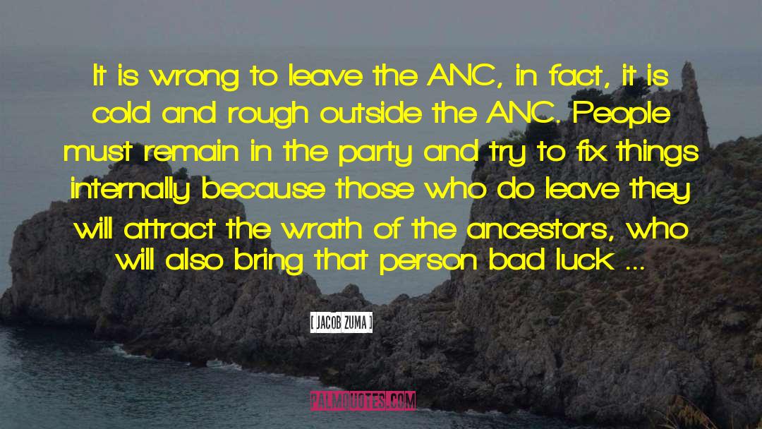 Jacob Zuma Quotes: It is wrong to leave