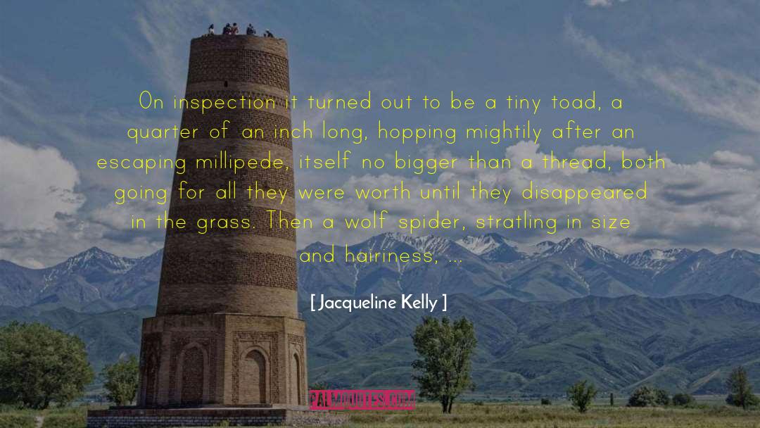 Jacqueline Kelly Quotes: On inspection it turned out