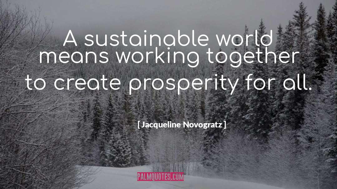 Jacqueline Novogratz Quotes: A sustainable world means working