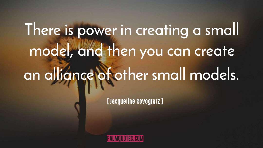 Jacqueline Novogratz Quotes: There is power in creating