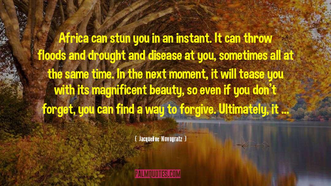 Jacqueline Novogratz Quotes: Africa can stun you in