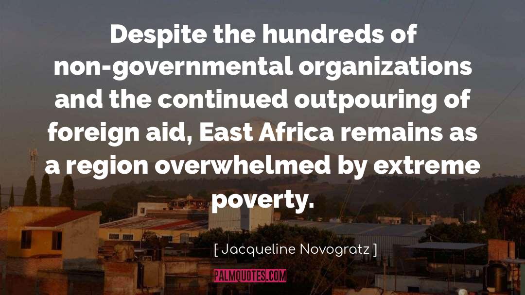 Jacqueline Novogratz Quotes: Despite the hundreds of non-governmental