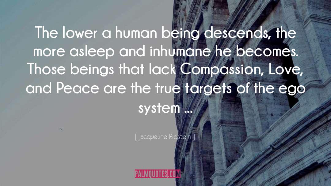 Jacqueline Ripstein Quotes: The lower a human being