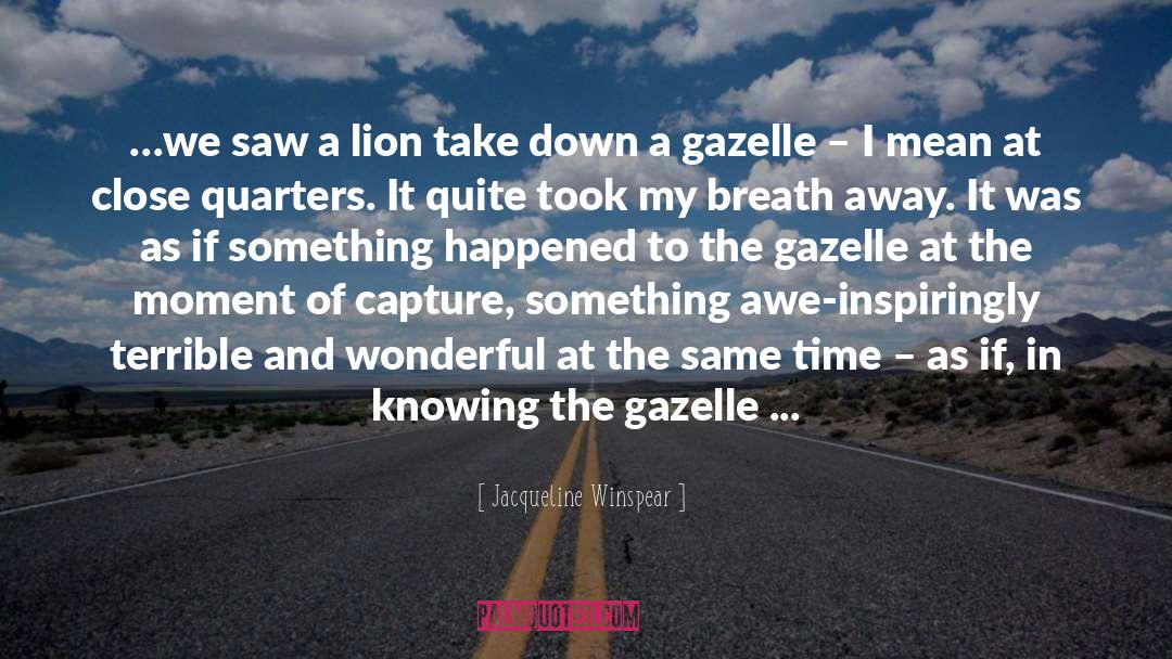Jacqueline Winspear Quotes: …we saw a lion take