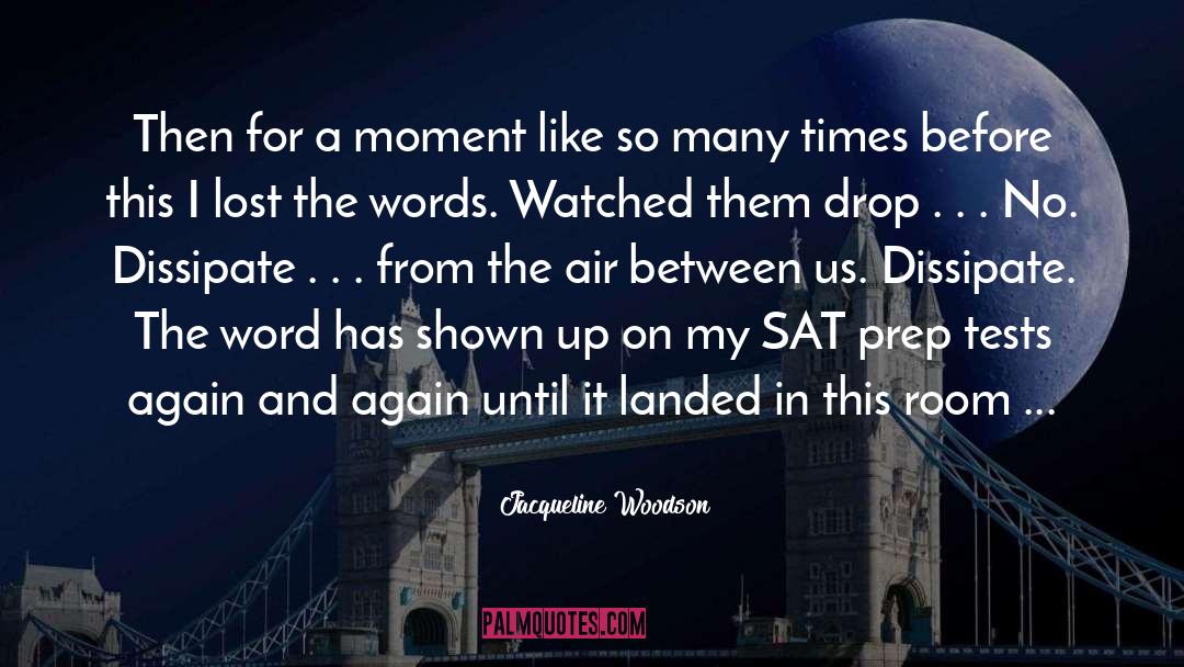 Jacqueline Woodson Quotes: Then for a moment like