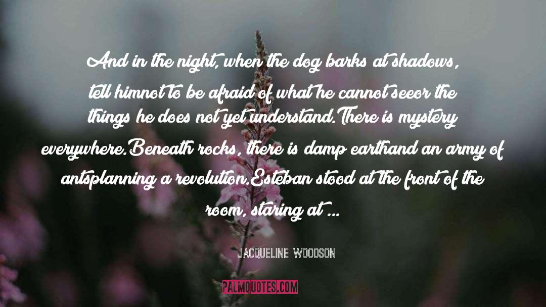 Jacqueline Woodson Quotes: And in the night, when