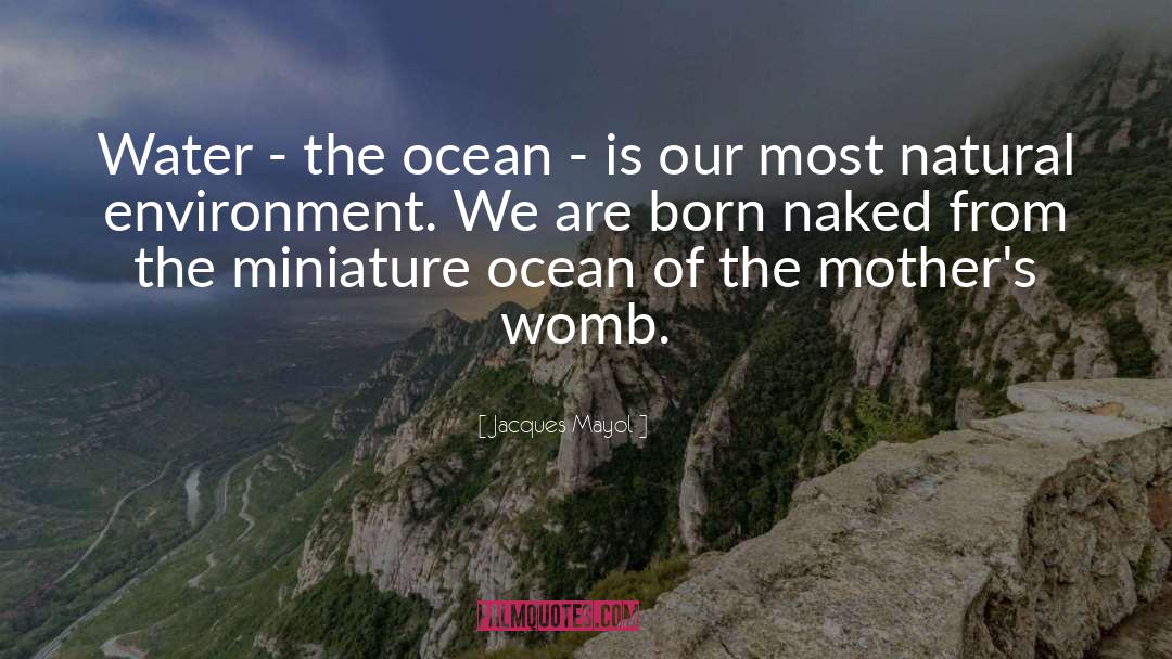 Jacques Mayol Quotes: Water - the ocean -