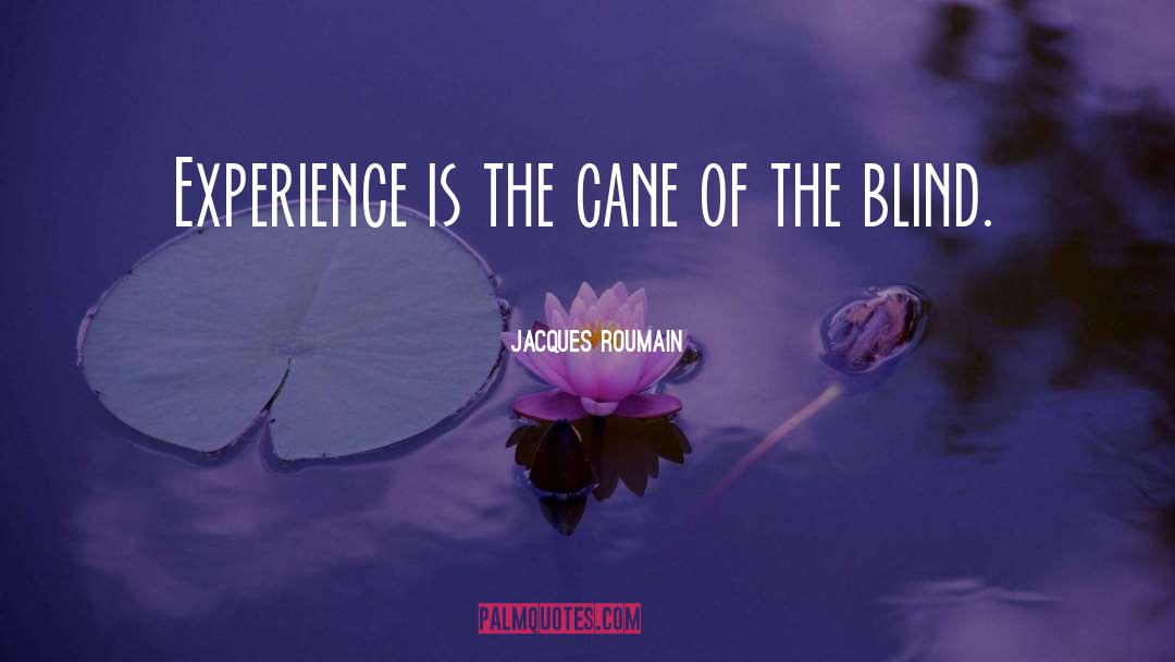 Jacques Roumain Quotes: Experience is the cane of