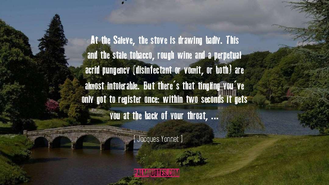 Jacques Yonnet Quotes: At the Saleve, the stove