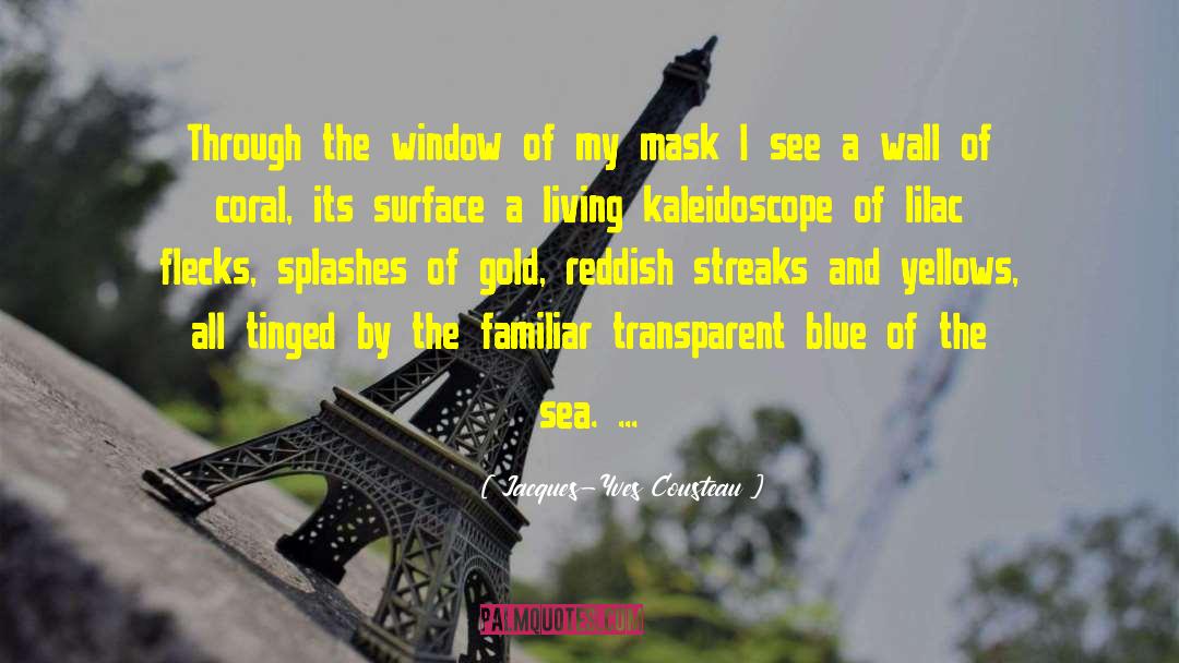 Jacques-Yves Cousteau Quotes: Through the window of my