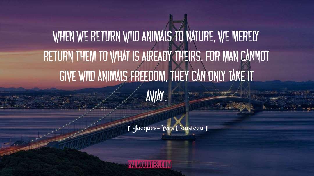 Jacques-Yves Cousteau Quotes: When we return wild animals