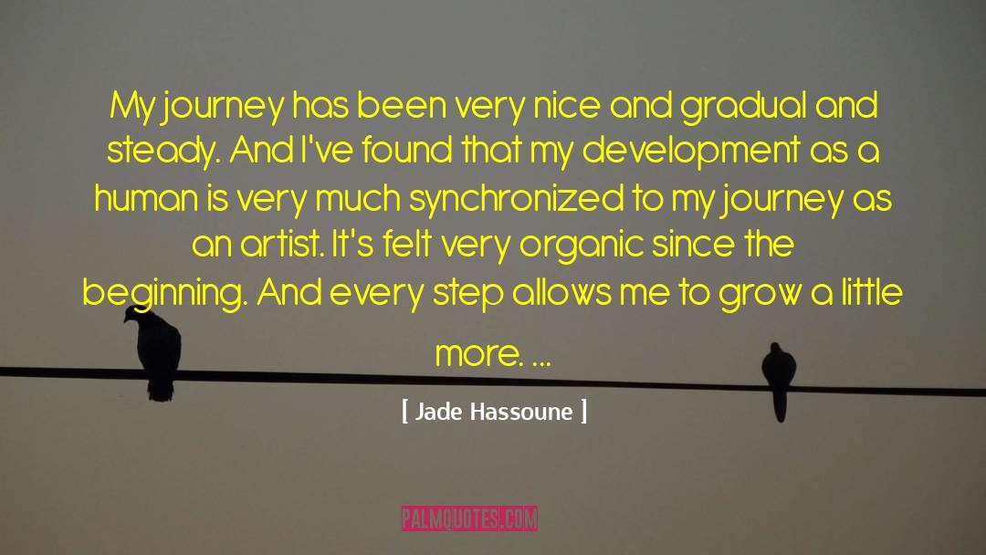 Jade Hassoune Quotes: My journey has been very