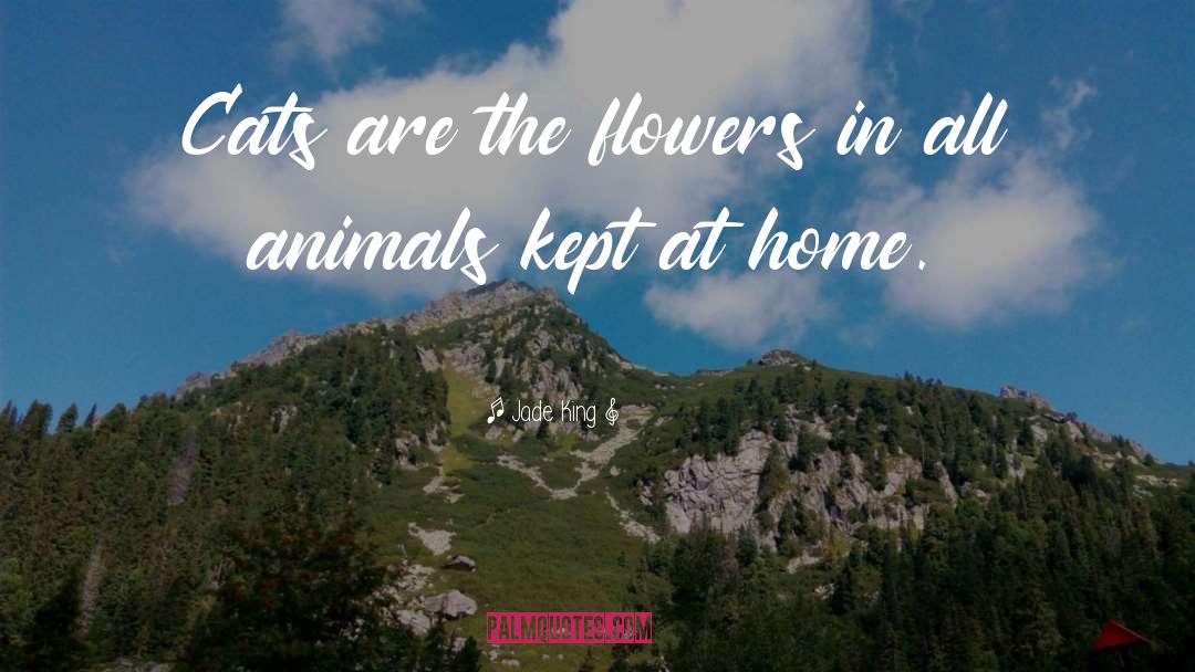 Jade King Quotes: Cats are the flowers in