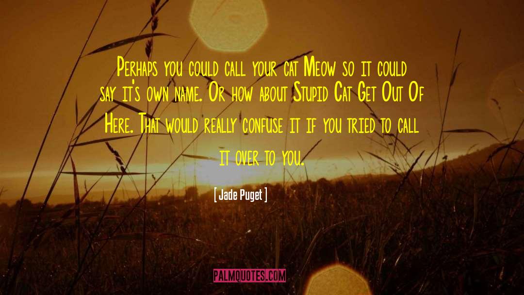 Jade Puget Quotes: Perhaps you could call your