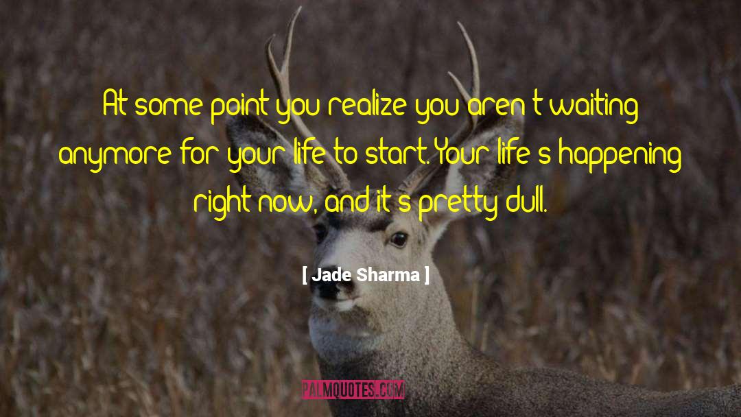Jade Sharma Quotes: At some point you realize