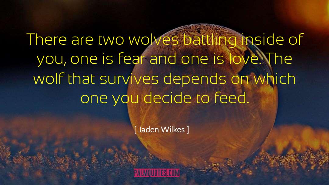 Jaden Wilkes Quotes: There are two wolves battling