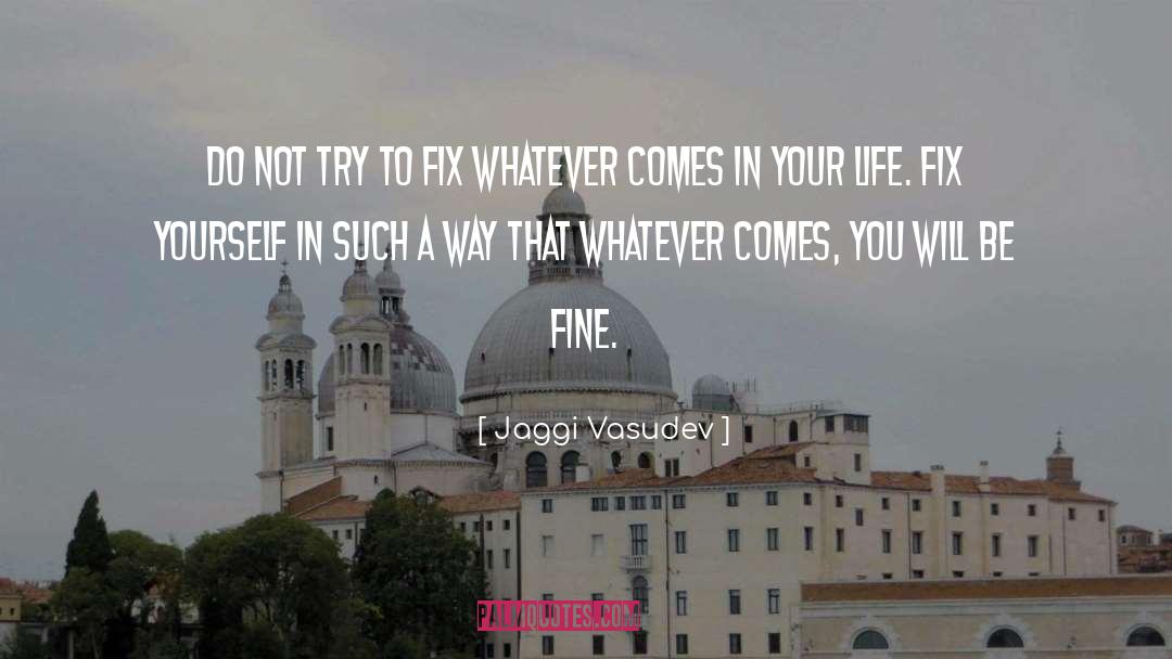 Jaggi Vasudev Quotes: Do not try to fix