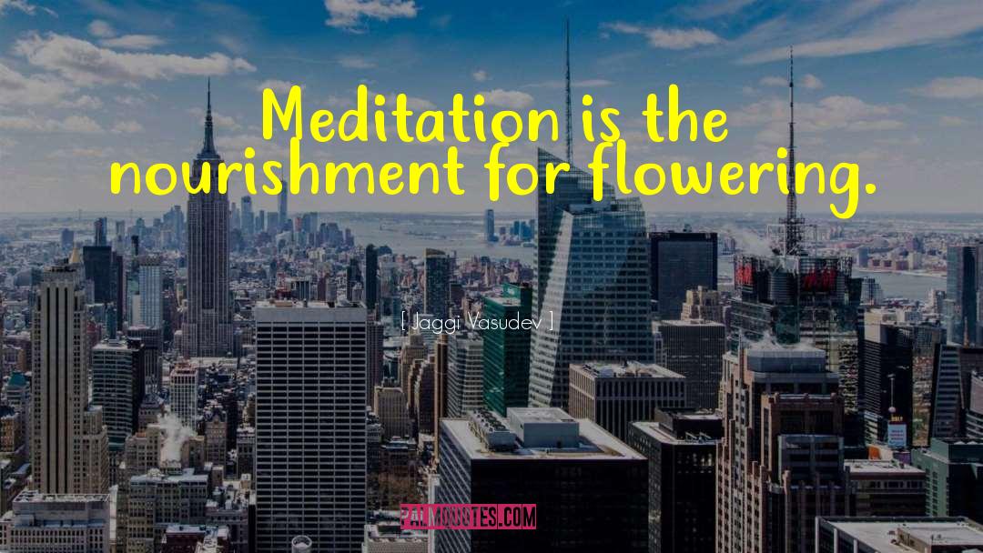 Jaggi Vasudev Quotes: Meditation is the nourishment for