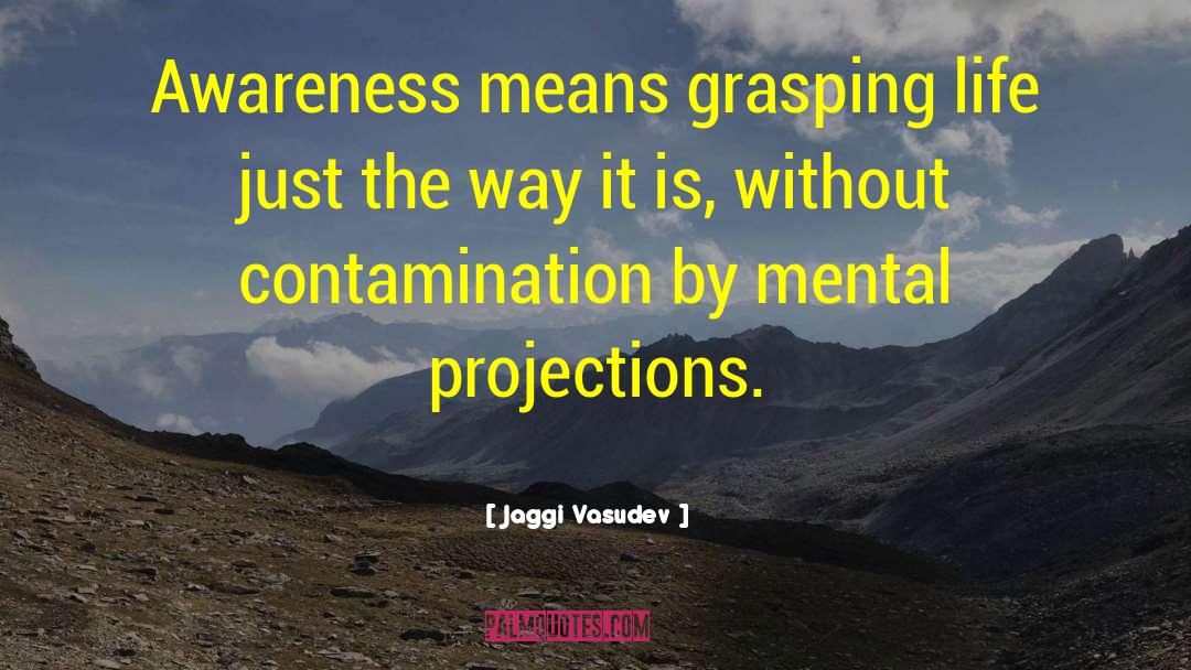 Jaggi Vasudev Quotes: Awareness means grasping life just