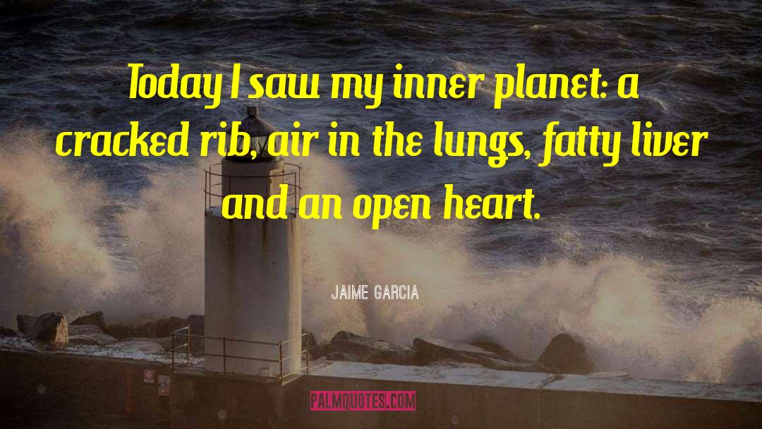 Jaime Garcia Quotes: Today I saw my inner