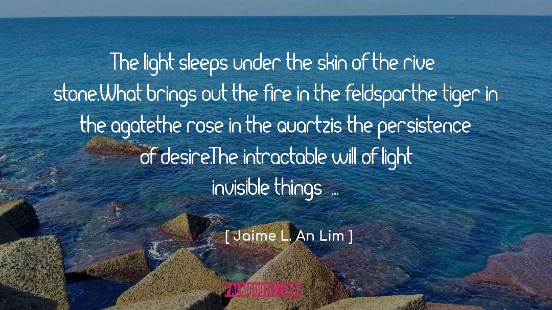 Jaime L. An Lim Quotes: The light sleeps under the