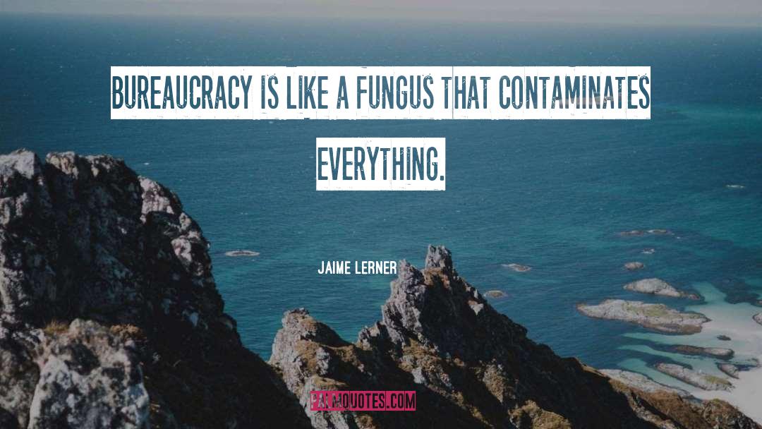 Jaime Lerner Quotes: Bureaucracy is like a fungus