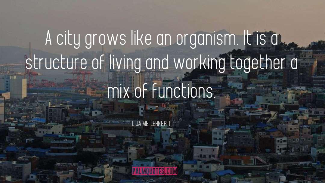 Jaime Lerner Quotes: A city grows like an