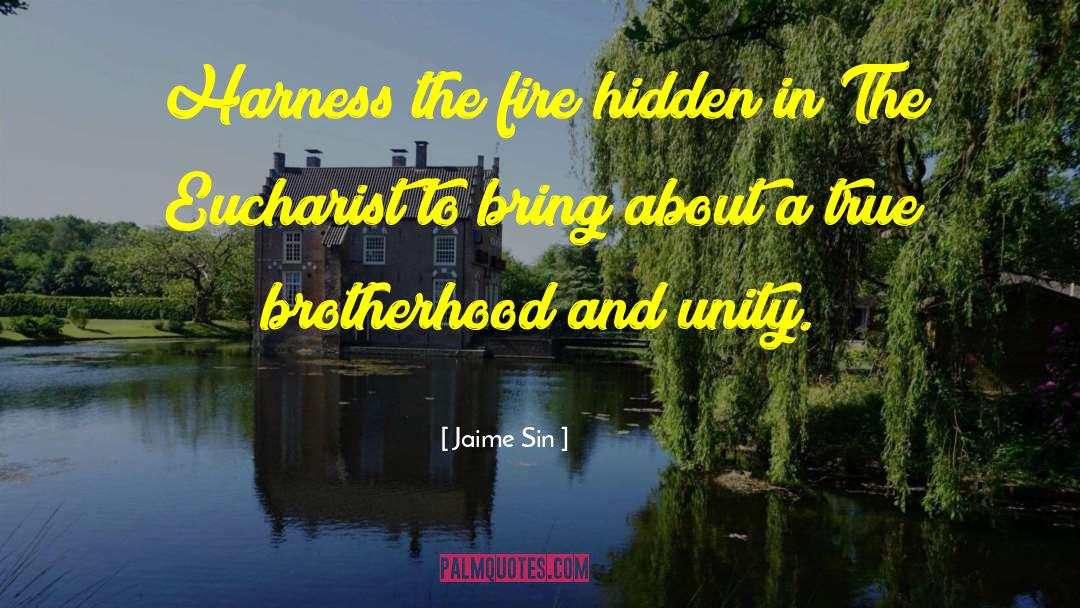 Jaime Sin Quotes: Harness the fire hidden in