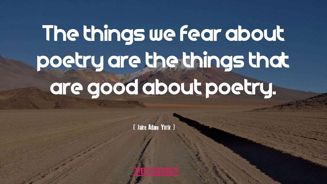 Jake Adam York Quotes: The things we fear about