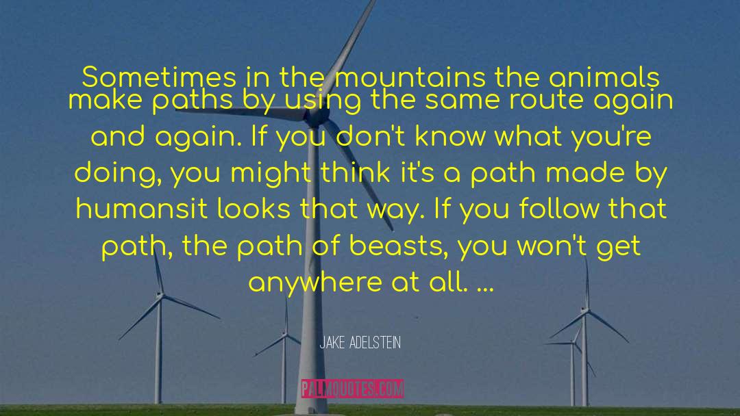 Jake Adelstein Quotes: Sometimes in the mountains the