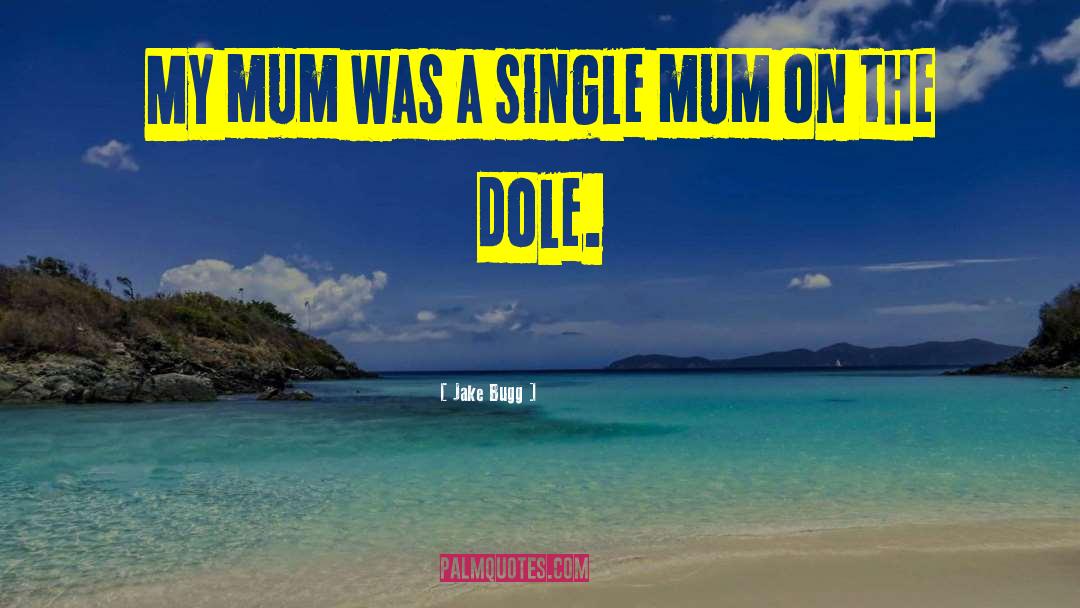 Jake Bugg Quotes: My mum was a single