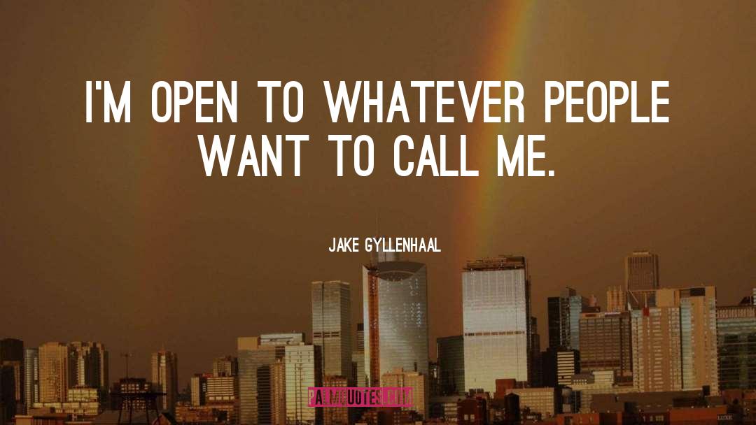 Jake Gyllenhaal Quotes: I'm open to whatever people