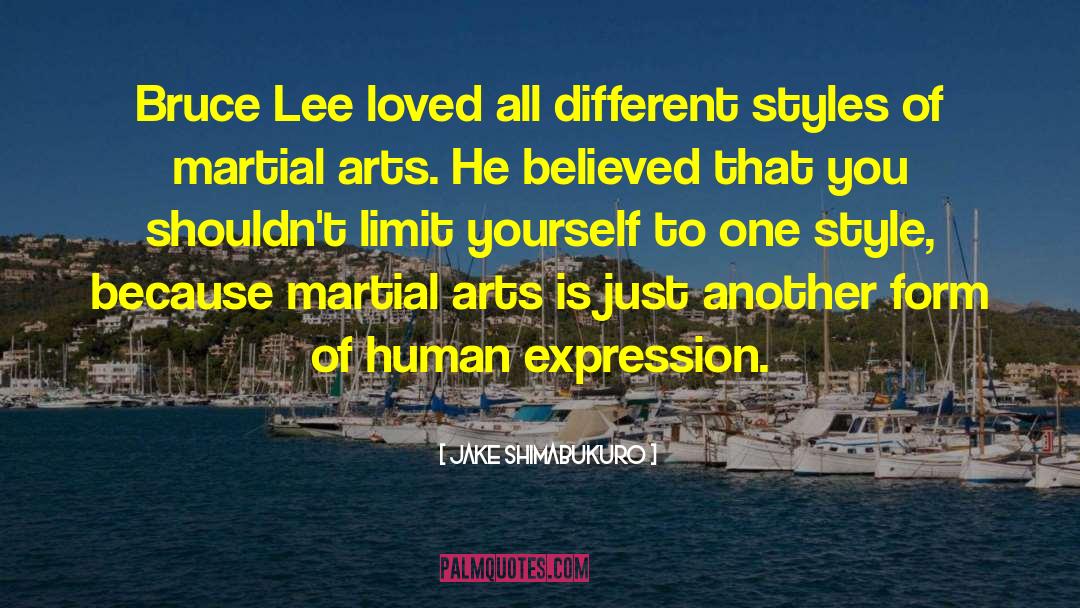 Jake Shimabukuro Quotes: Bruce Lee loved all different
