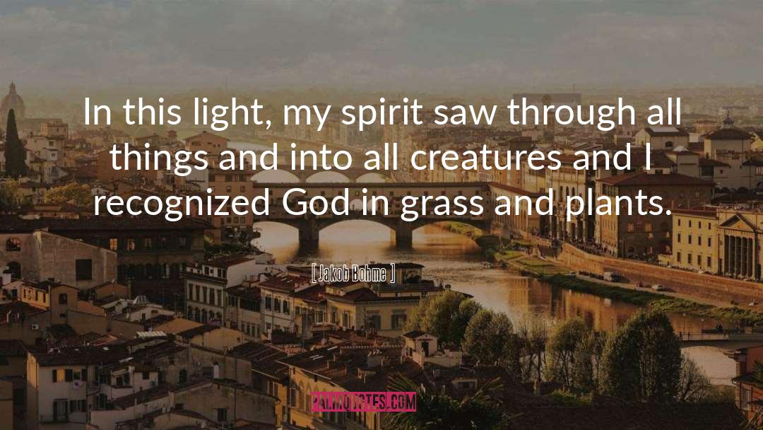 Jakob Bohme Quotes: In this light, my spirit