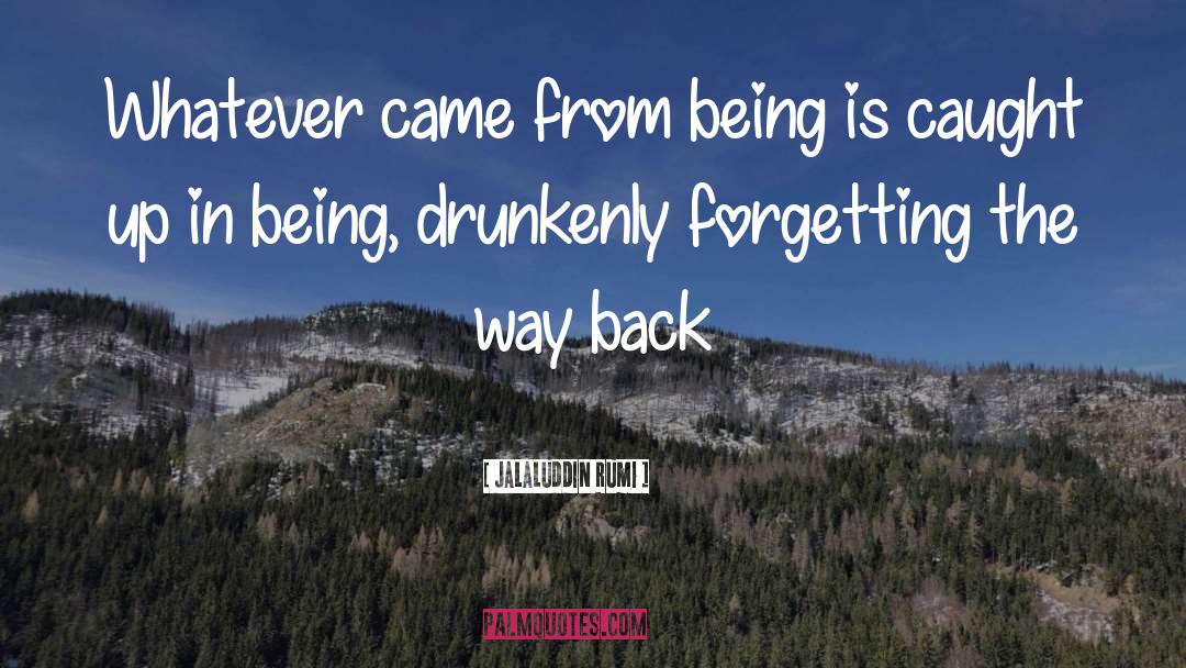 Jalaluddin Rumi Quotes: Whatever came from being <br