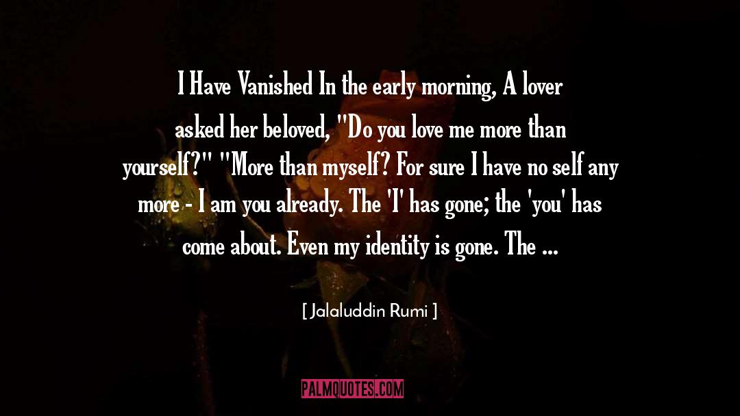 Jalaluddin Rumi Quotes: I Have Vanished In the
