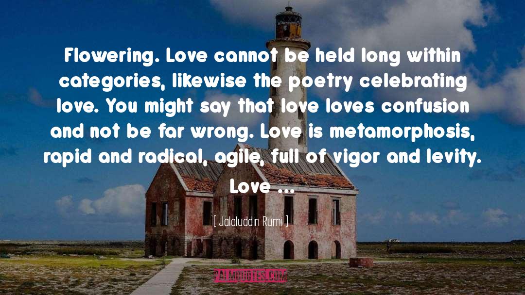 Jalaluddin Rumi Quotes: Flowering. Love cannot be held