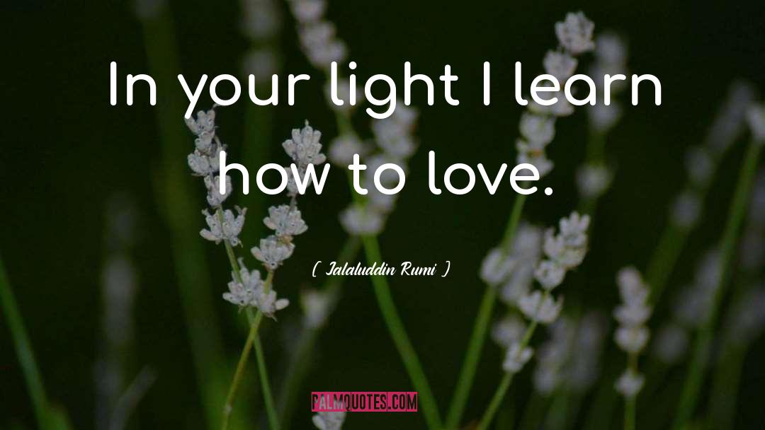 Jalaluddin Rumi Quotes: In your light I learn